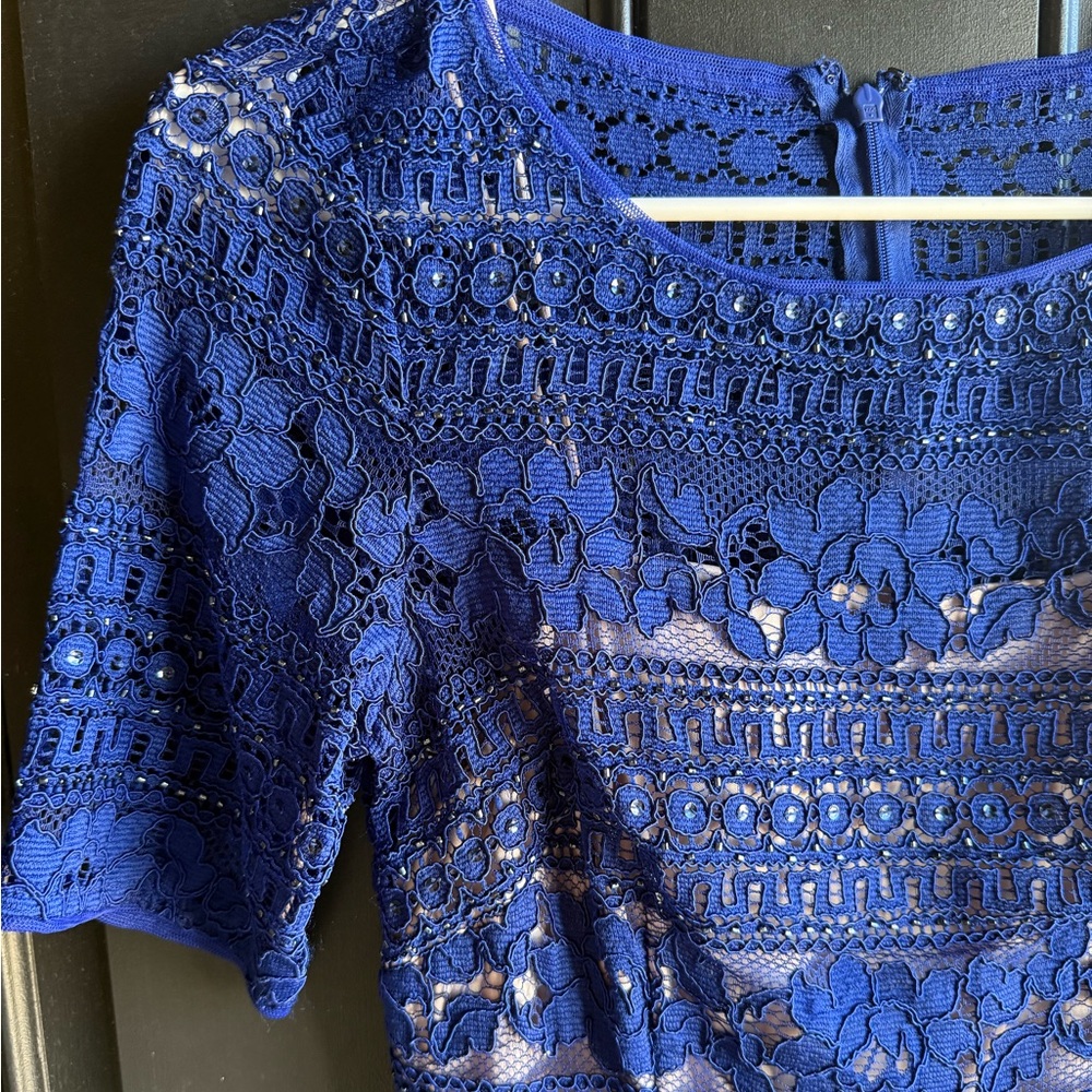 NWOT Adrianna Papell Corded Stripe Lace Sheath Dress in a royal blue 4P - Picture 6 of 13